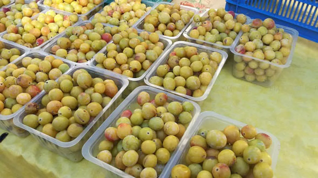 Les candidatures sont déjà ouvertes